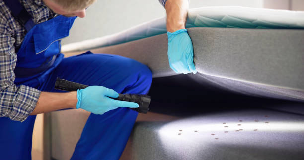 Best Pest Removal Services  in Coldwater, MS
