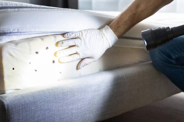 Best Exterminator Services  in Coldwater, MS