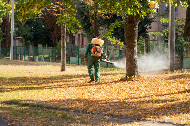 Best Flea Control Services  in Coldwater, MS
