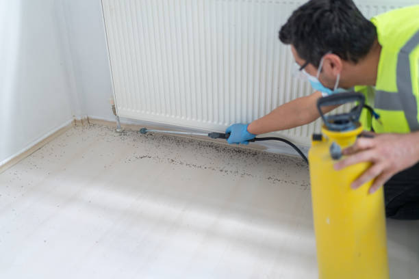 Best Cockroach Control Services  in Coldwater, MS
